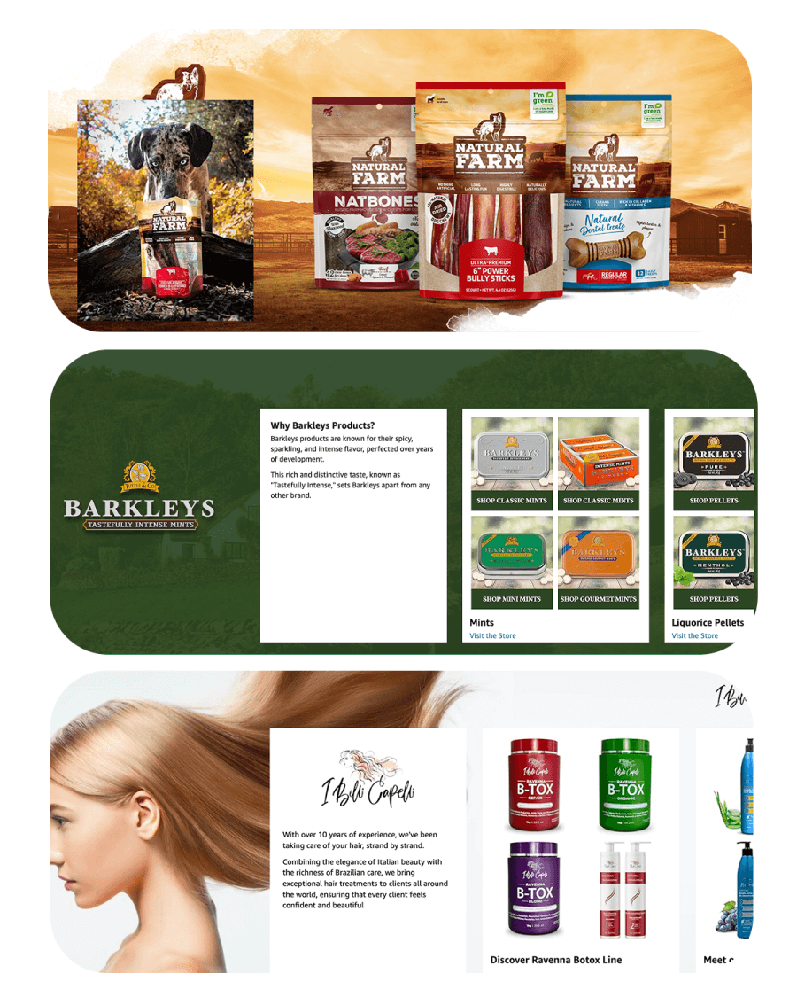 carrossel brand story 2 (1)