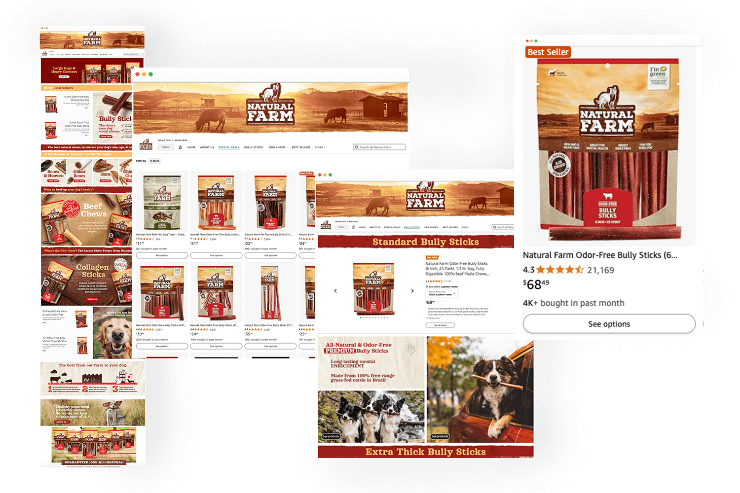 carrossel_store brand (1)